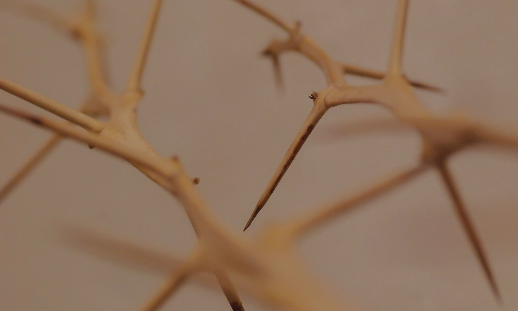 Neurologie – Ergotherapie Gesundbrunnen